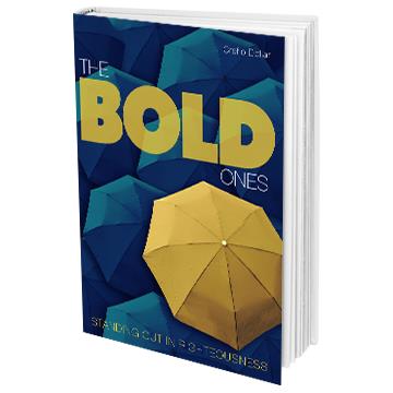 The Bold Ones - Mini Book